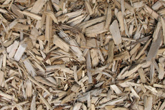 biomass boilers Fox Royd